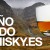 1añotodowhisky